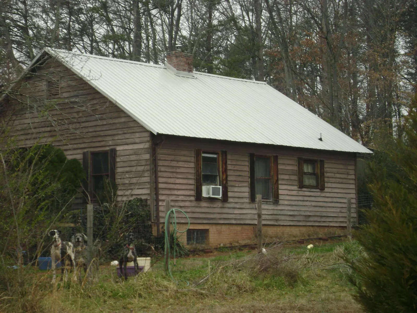 White metal roof on an old wood sided farmhouse, from a Asphalt Shingle Roof Repair job in Sunset Beach